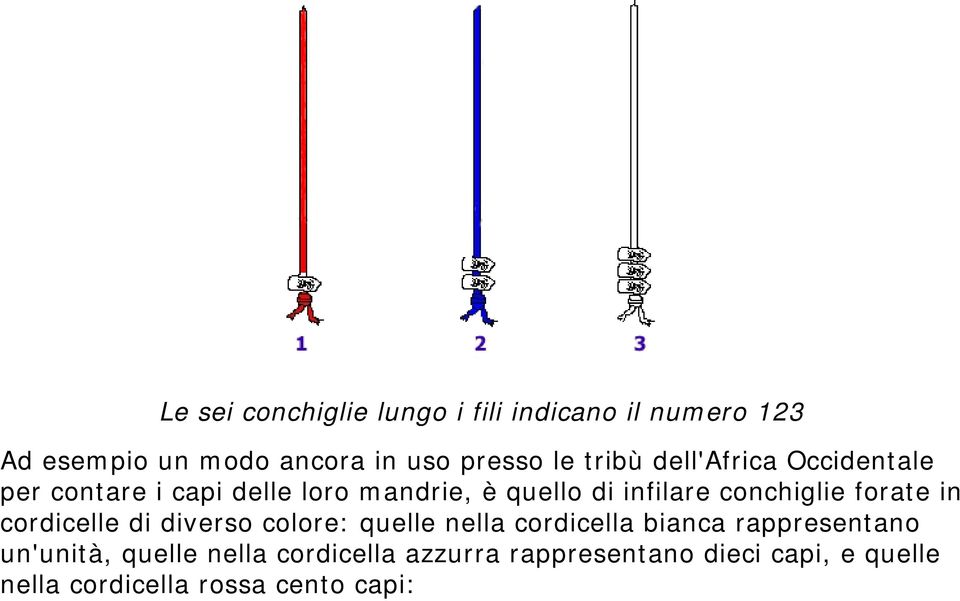 conchiglie forate in cordicelle di diverso colore: quellee nella cordicella biancaa rappresentano