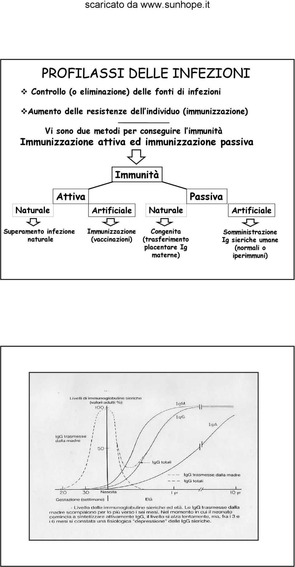 passiva Immunità Attiva Passiva Naturale Artificiale Naturale Artificiale Superamento infezione naturale