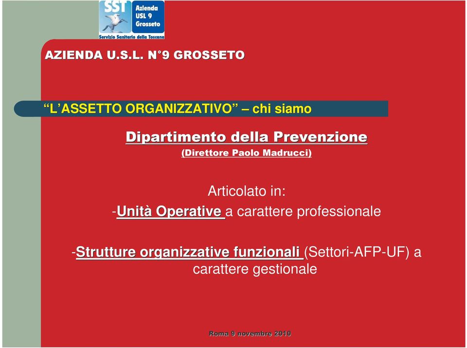 carattere professionale -Strutture organizzative