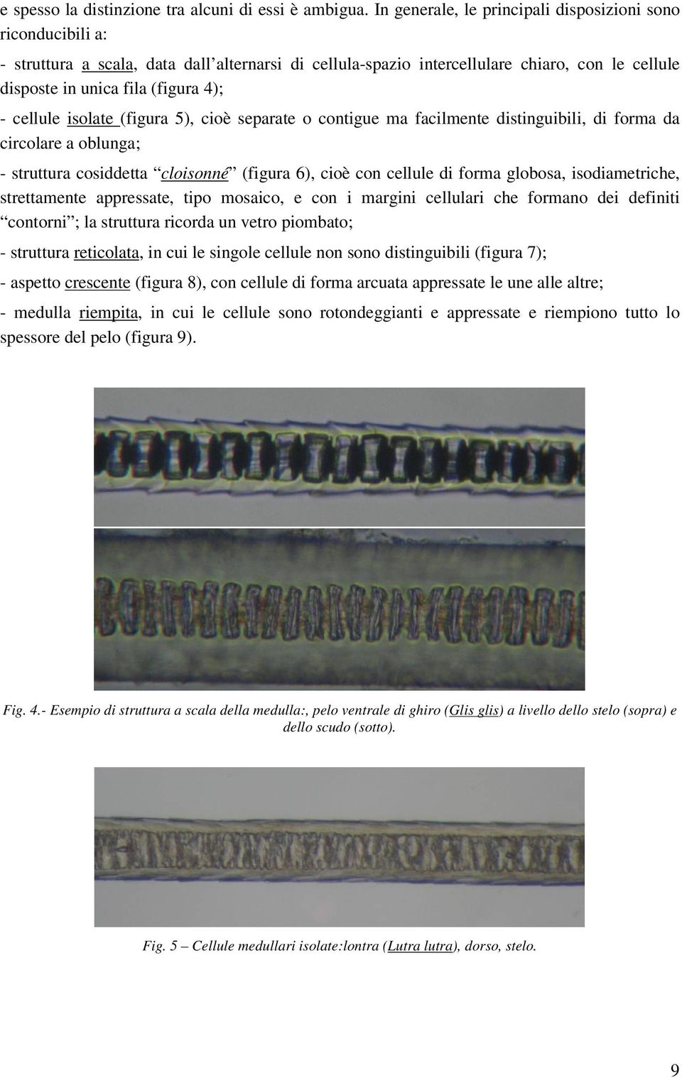 d bug; - suu sdd sé (fgu 6), è u d fm gbs, sdmh, sm ppss, p ms, mg u h fm d df ; suu d u v pmb; - suu, u sg u