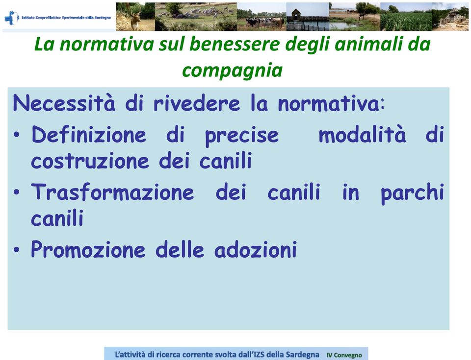 precise costruzione dei canili modalità di