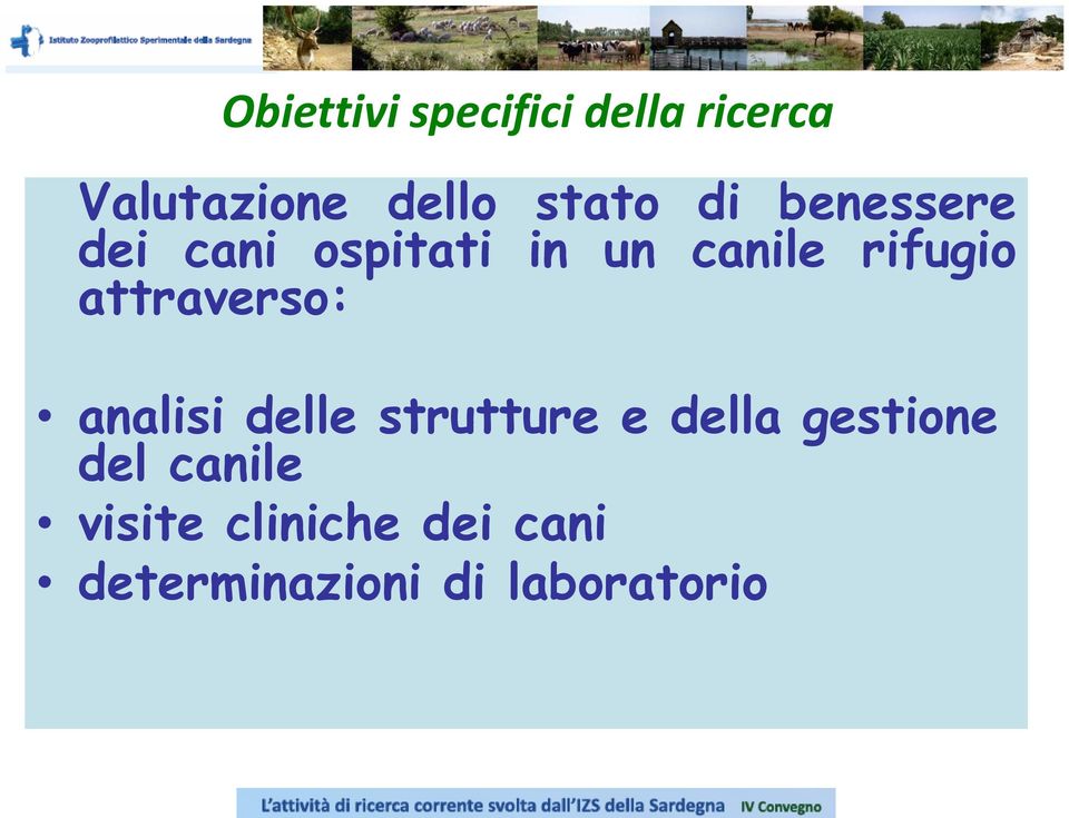 rifugio attraverso: analisi delle strutture e della