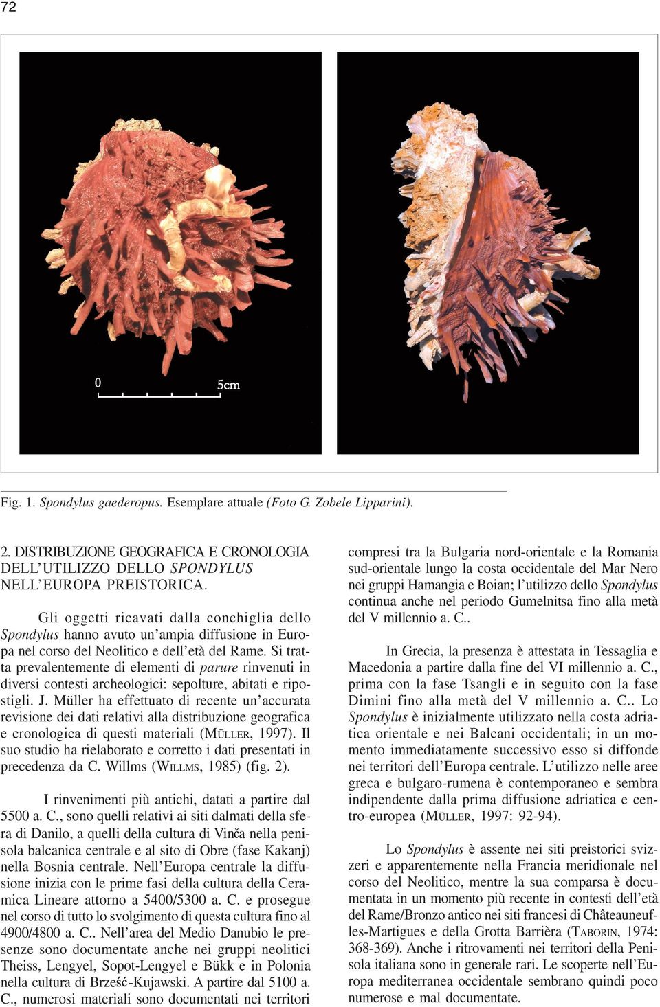 Si tratta prevalentemente di elementi di parure rinvenuti in diversi contesti archeologici: sepolture, abitati e ripostigli. J.