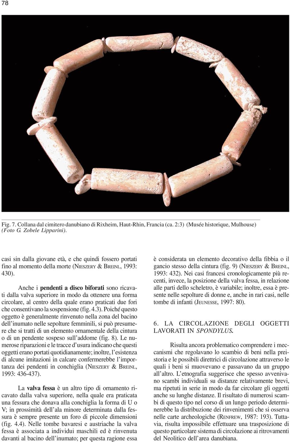 Anche i pendenti a disco biforati sono ricavati dalla valva superiore in modo da ottenere una forma circolare, al centro della quale erano praticati due fori che consentivano la sospensione (fig. 4.