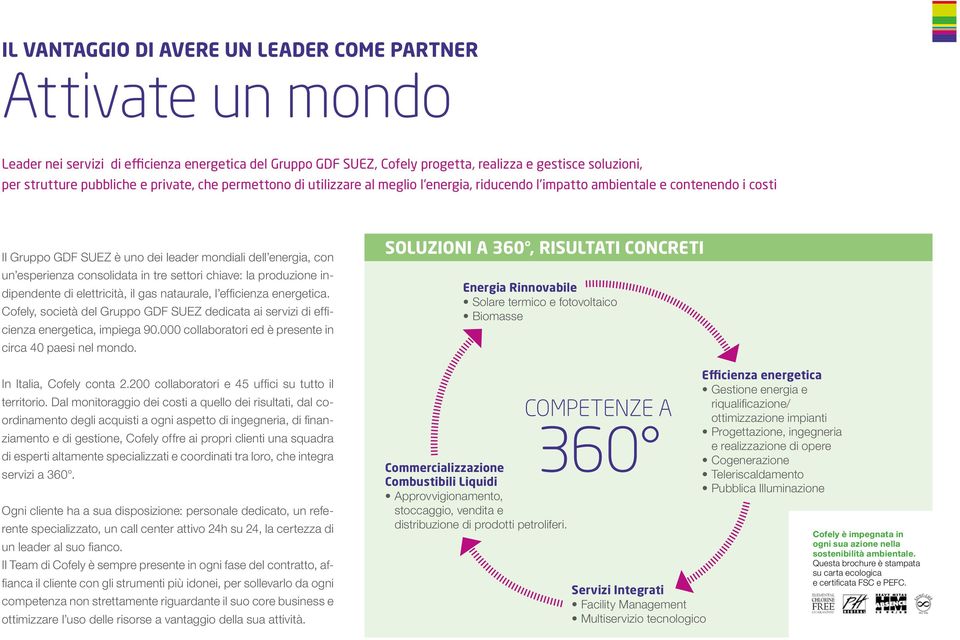 consolidata in tre settori chiave: la produzione indipendente di elettricità, il gas nataurale, l efficienza energetica.