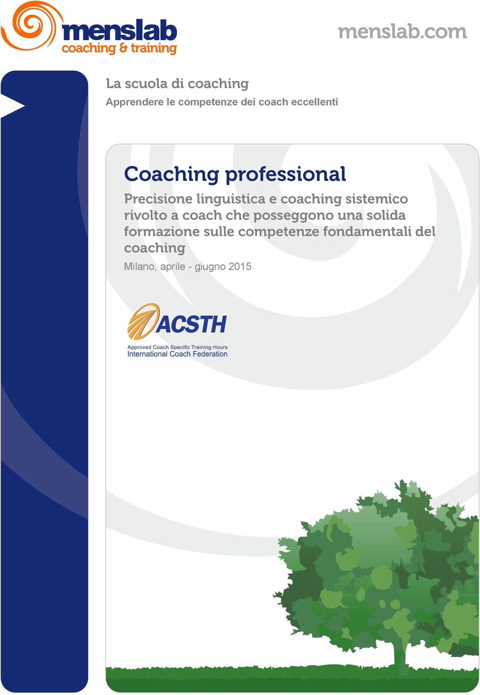 coaching sistemico rivolto a coach che posseggono una solida