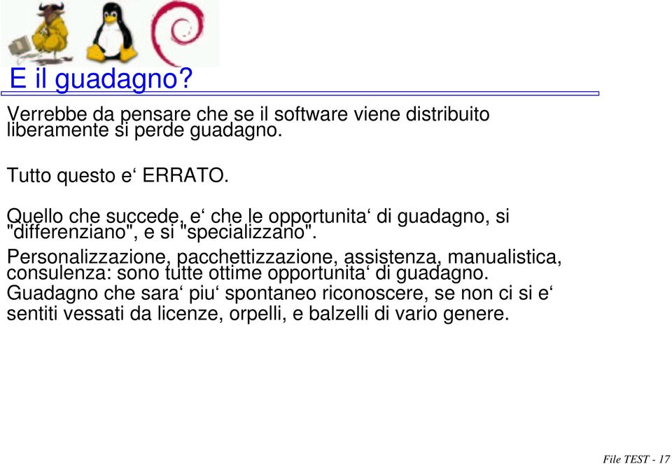 Personalizzazione, pacchettizzazione, assistenza, manualistica, consulenza: sono tutte ottime opportunita di guadagno.