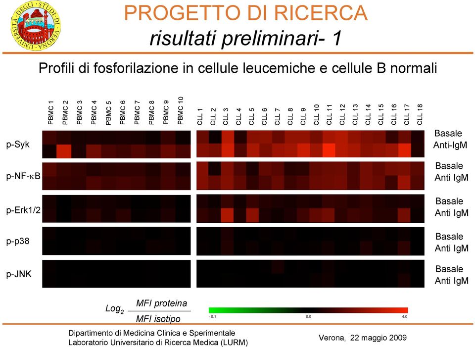 CLL 9 CLL 10 CLL 11 CLL 12 CLL 13 CLL 14 CLL 15 CLL 16 CLL 17 CLL 18 p-syk Basale Anti-IgM p-nf-κb Basale