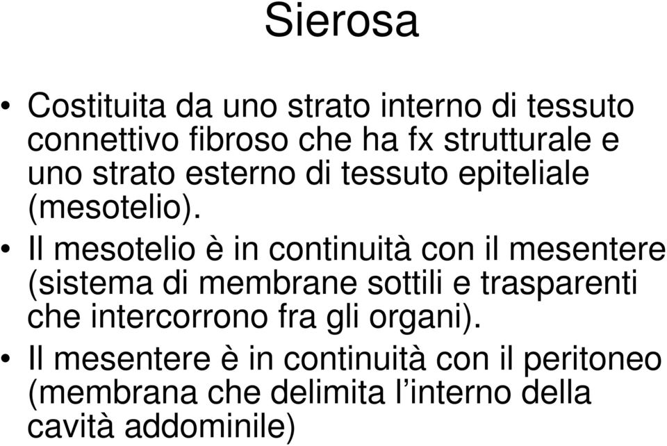 Il mesotelio è in continuità con il mesentere (sistema di membrane sottili e trasparenti che