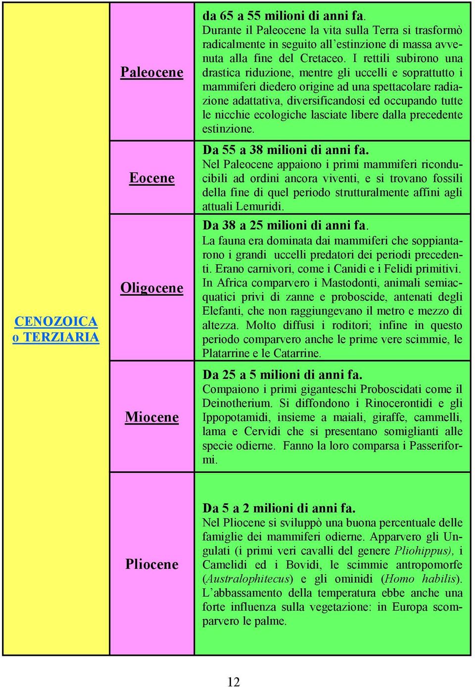 I rettili subirono una drastica riduzione, mentre gli uccelli e soprattutto i mammiferi diedero origine ad una spettacolare radiazione adattativa, diversificandosi ed occupando tutte le nicchie