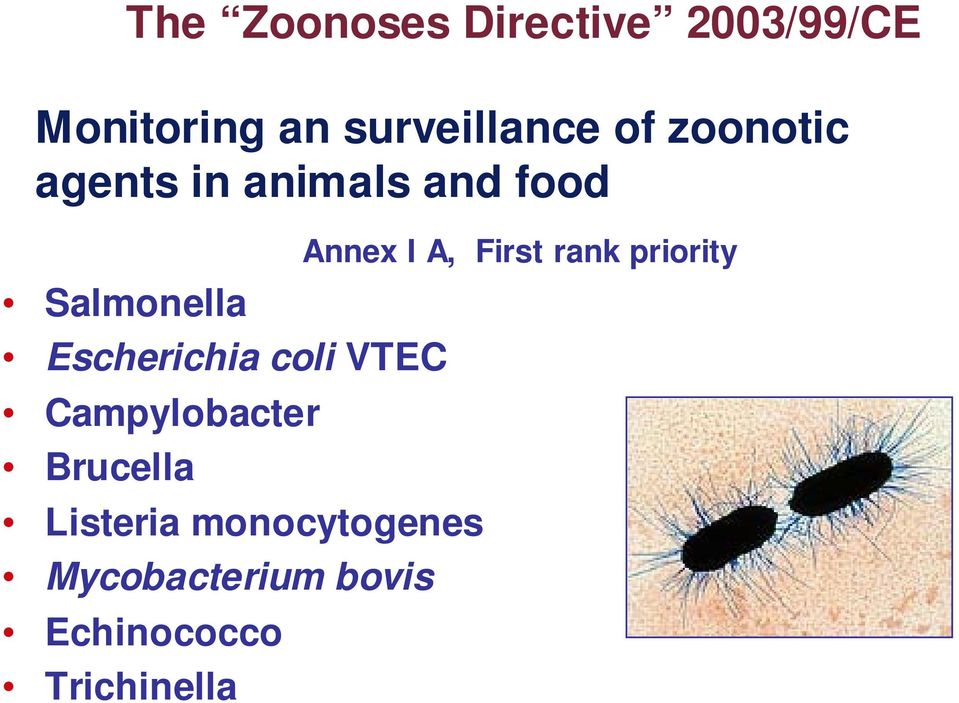 VTEC Campylobacter Brucella Listeria monocytogenes