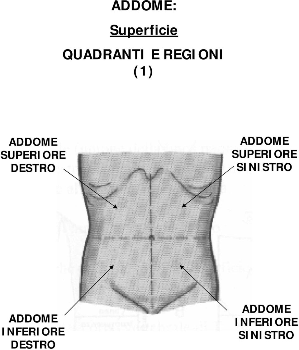 ADDOME SUPERIORE SINISTRO ADDOME