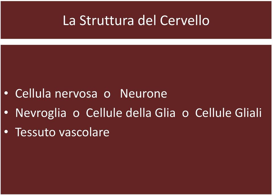 Nevroglia o Cellule della