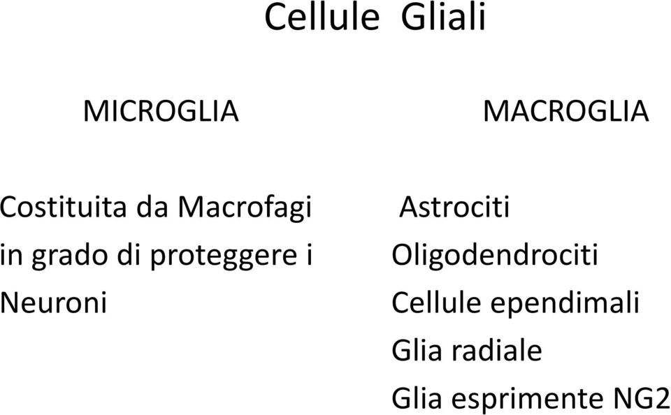 proteggere i Neuroni Astrociti