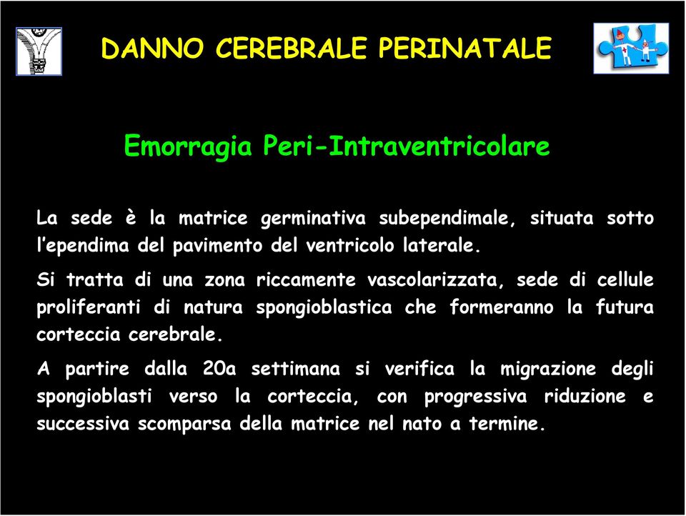 Si tratta di una zona riccamente vascolarizzata, sede di cellule proliferanti di natura spongioblastica che formeranno la