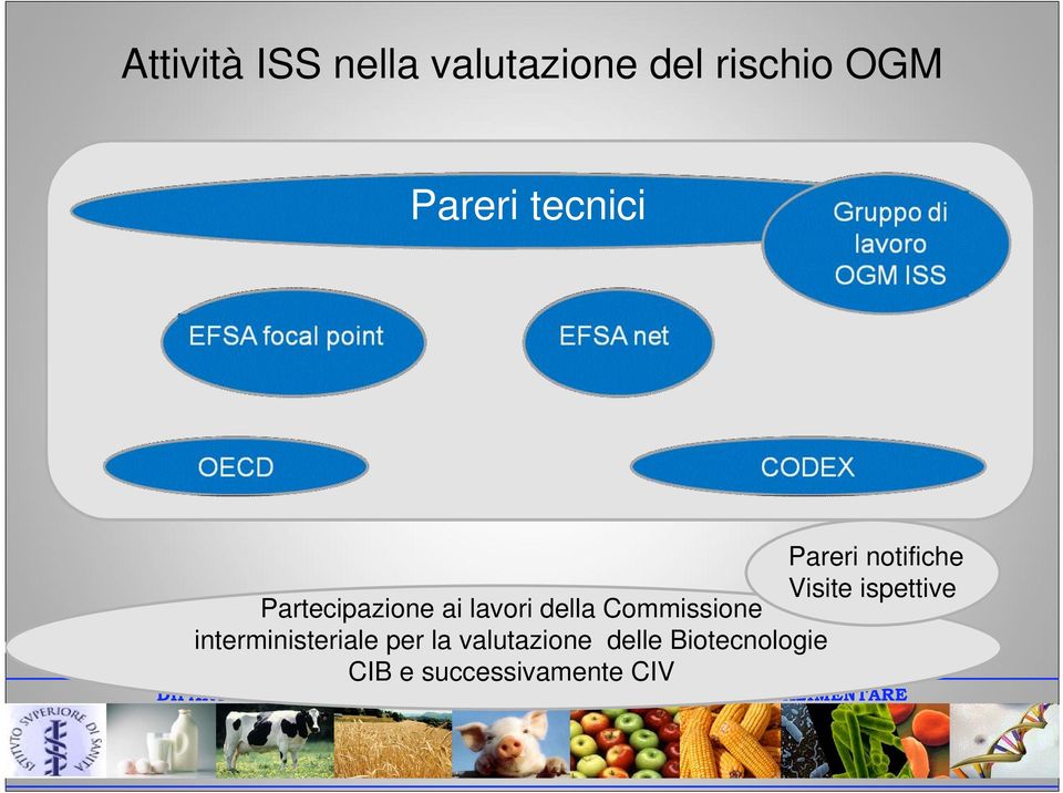 Partecipazione ai lavori della Commissione