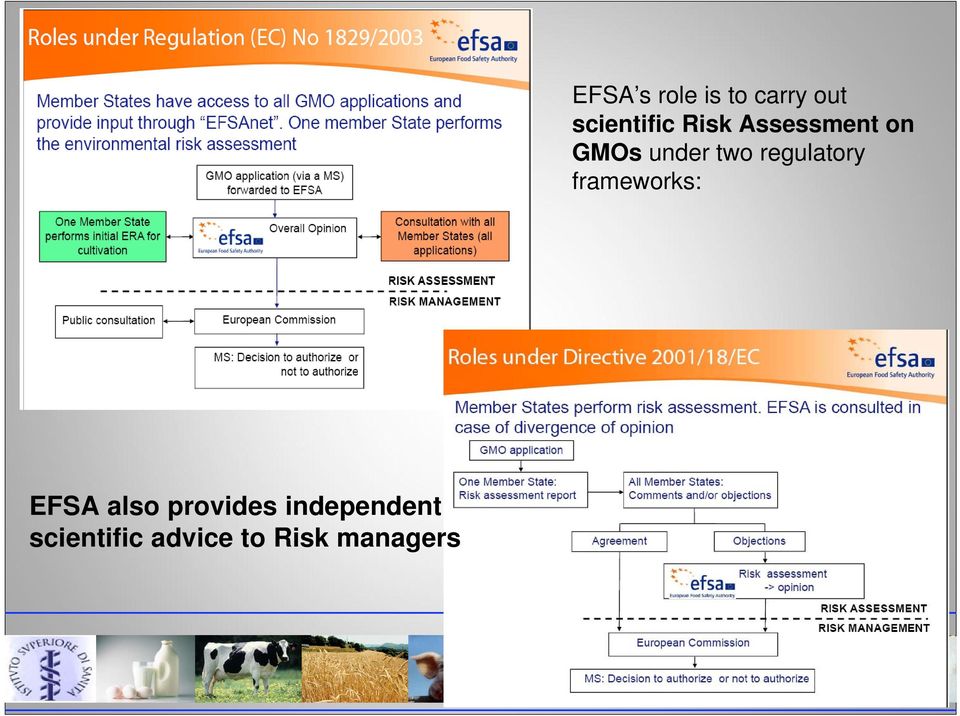 s role is to carry out scientific Risk