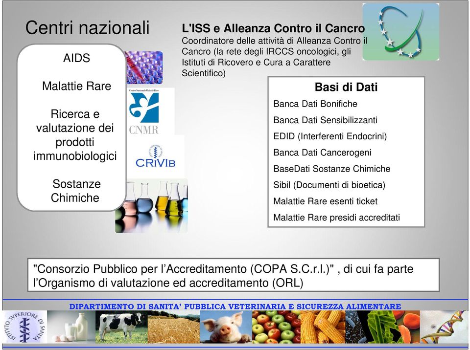 Bonifiche Banca Dati Sensibilizzanti EDID (Interferenti Endocrini) Banca Dati Cancerogeni BaseDati Sostanze Chimiche Sibil (Documenti di bioetica) Malattie Rare