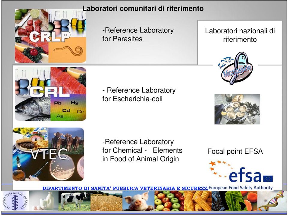 Reference Laboratory for Escherichia-coli -Reference