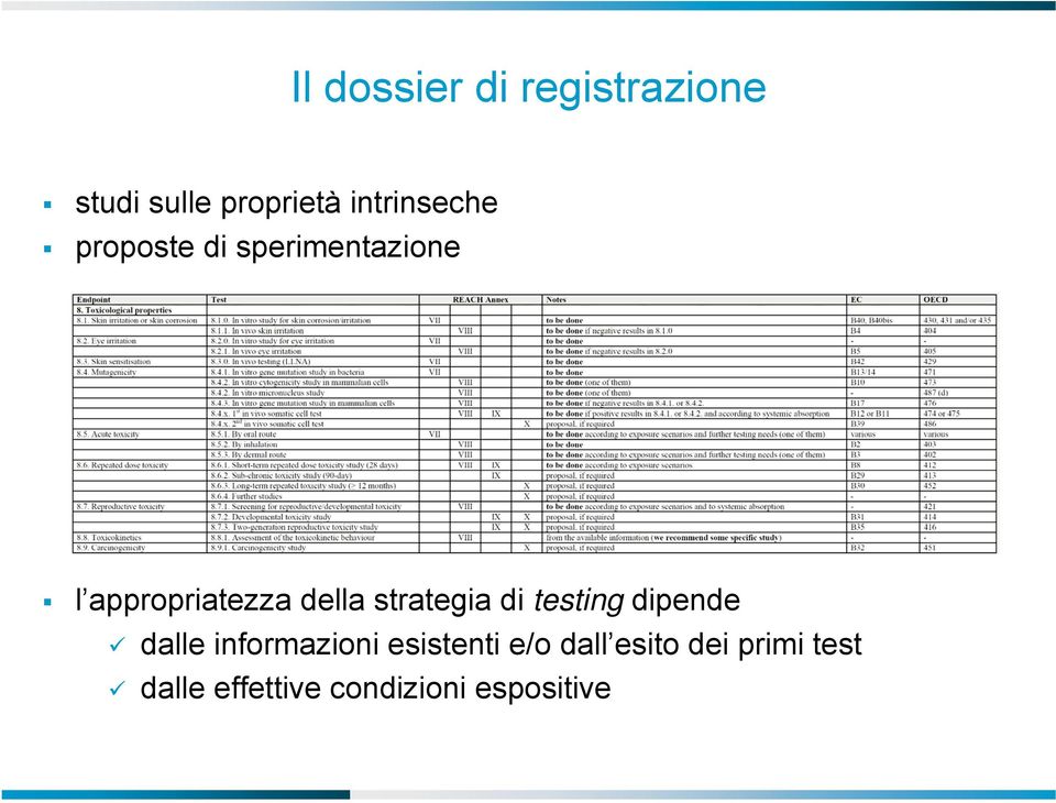 della strategia di testing dipende dalle informazioni