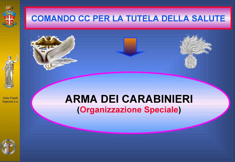 ARMA DEI CARABINIERI