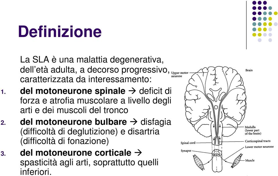 del motoneurone spinale deficit di forza e atrofia muscolare a livello degli arti e dei muscoli del