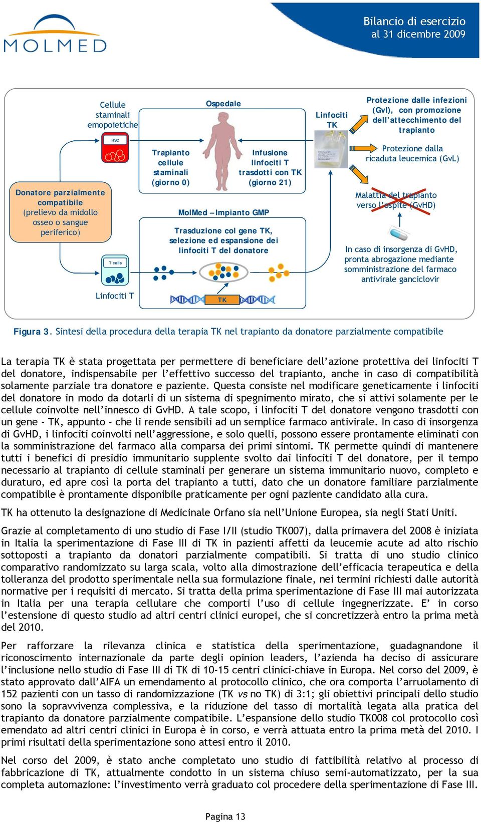 dell attecchimento del TK trapianto Protezione dalla ricaduta leucemica (GvL) Malattia del trapianto verso l ospite (GvHD) In caso di insorgenza di GvHD, pronta abrogazione mediante somministrazione