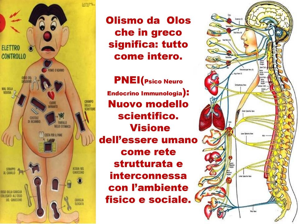 PNEI(Psico Neuro Endocrino Immunologia): Nuovo modello