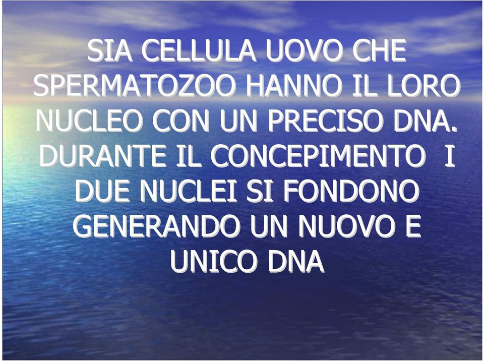 DNA. DURANTE IL CONCEPIMENTO I DUE