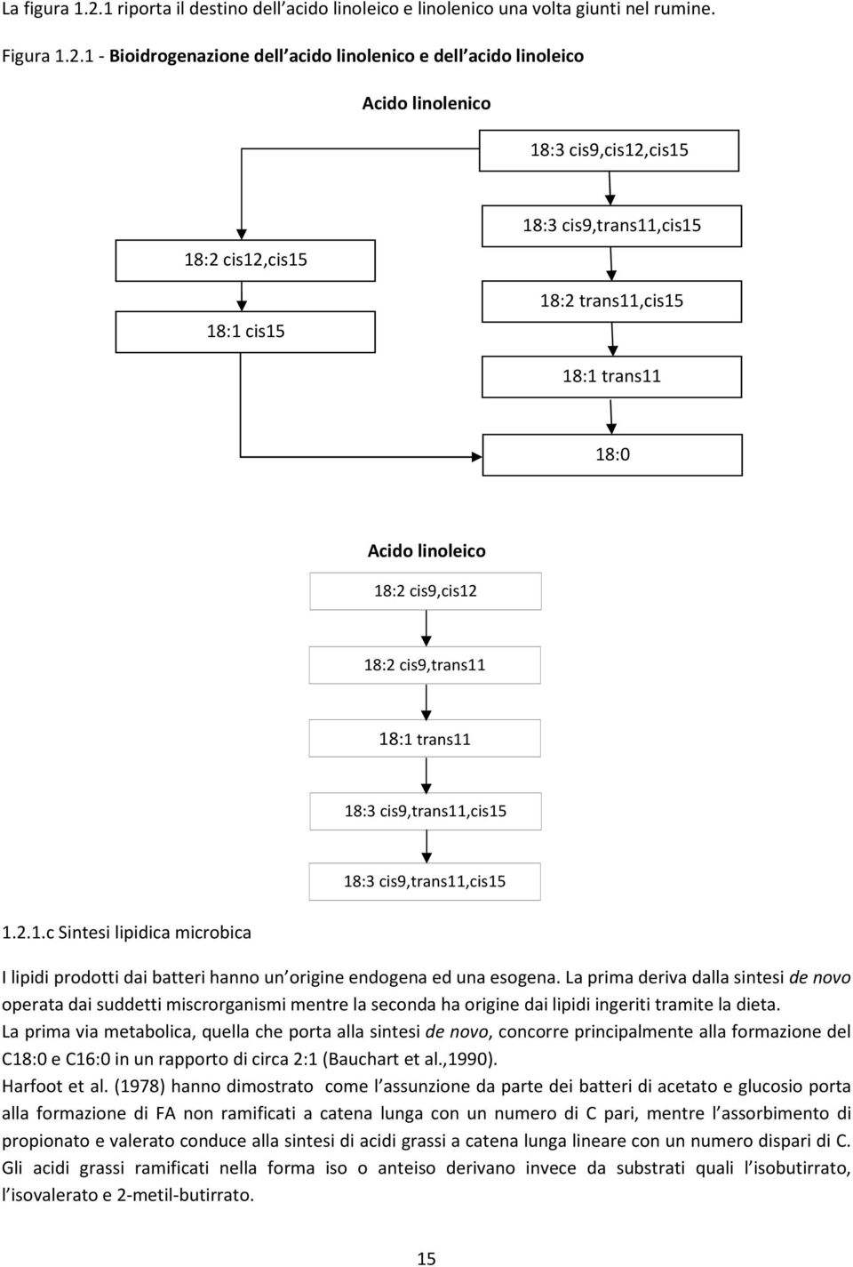 1 - Bioidrogenazione dell acido linolenico e dell acido linoleico Acido linolenico 18:3 cis9,cis12,cis15 18:2 cis12,cis15 18:1 cis15 18:3 cis9,trans11,cis15 18:2 trans11,cis15 18:1 trans11 18:0 Acido