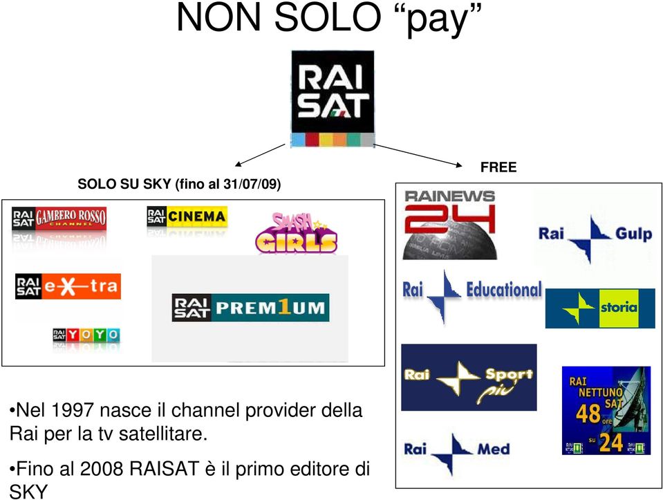 provider della Rai per la tv satellitare.