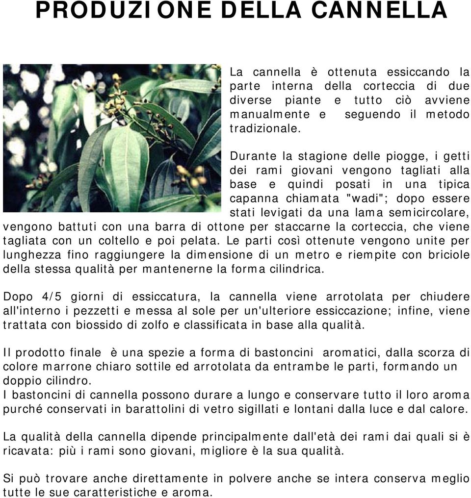 vengono battuti con una barra di ottone per staccarne la corteccia, che viene tagliata con un coltello e poi pelata.