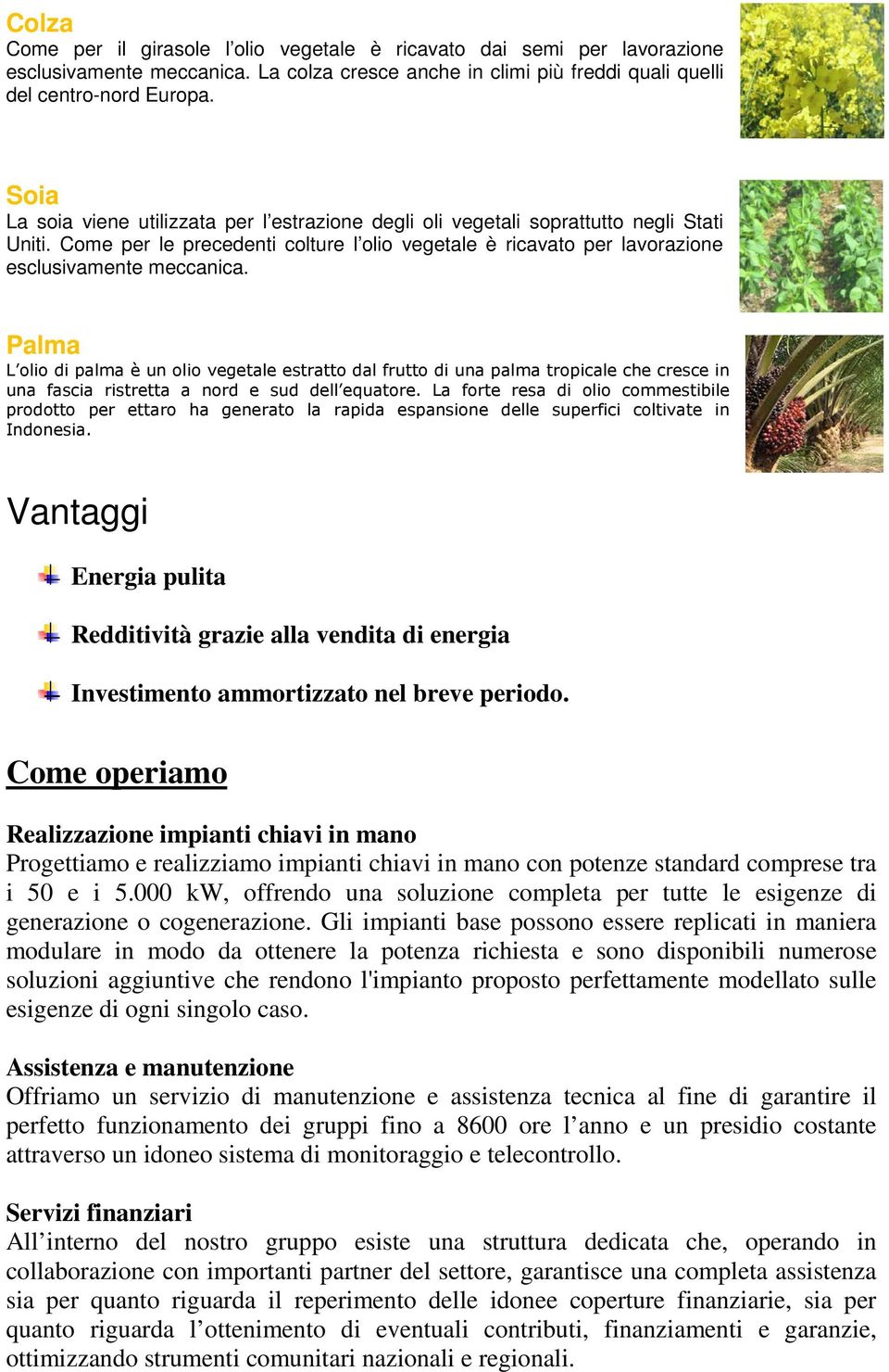 Palma L olio di palma è un olio vegetale estratto dal frutto di una palma tropicale che cresce in una fascia ristretta a nord e sud dell equatore.