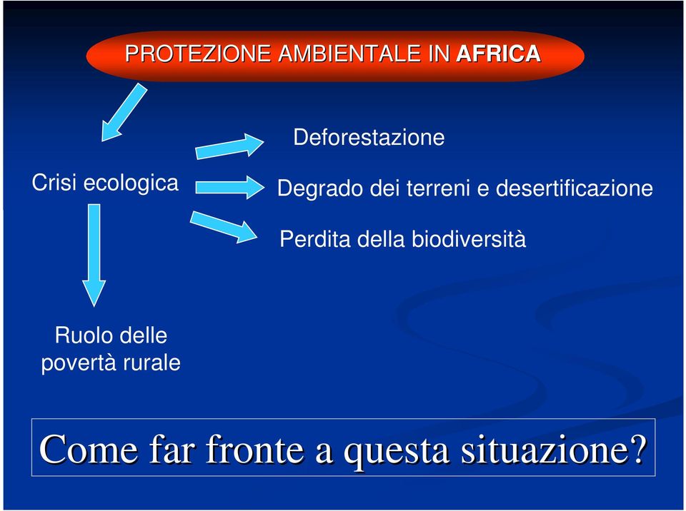 desertificazione Perdita della biodiversità