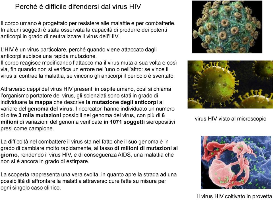 L HIV è un virus particolare, perché quando viene attaccato dagli anticorpi subisce una rapida mutazione.
