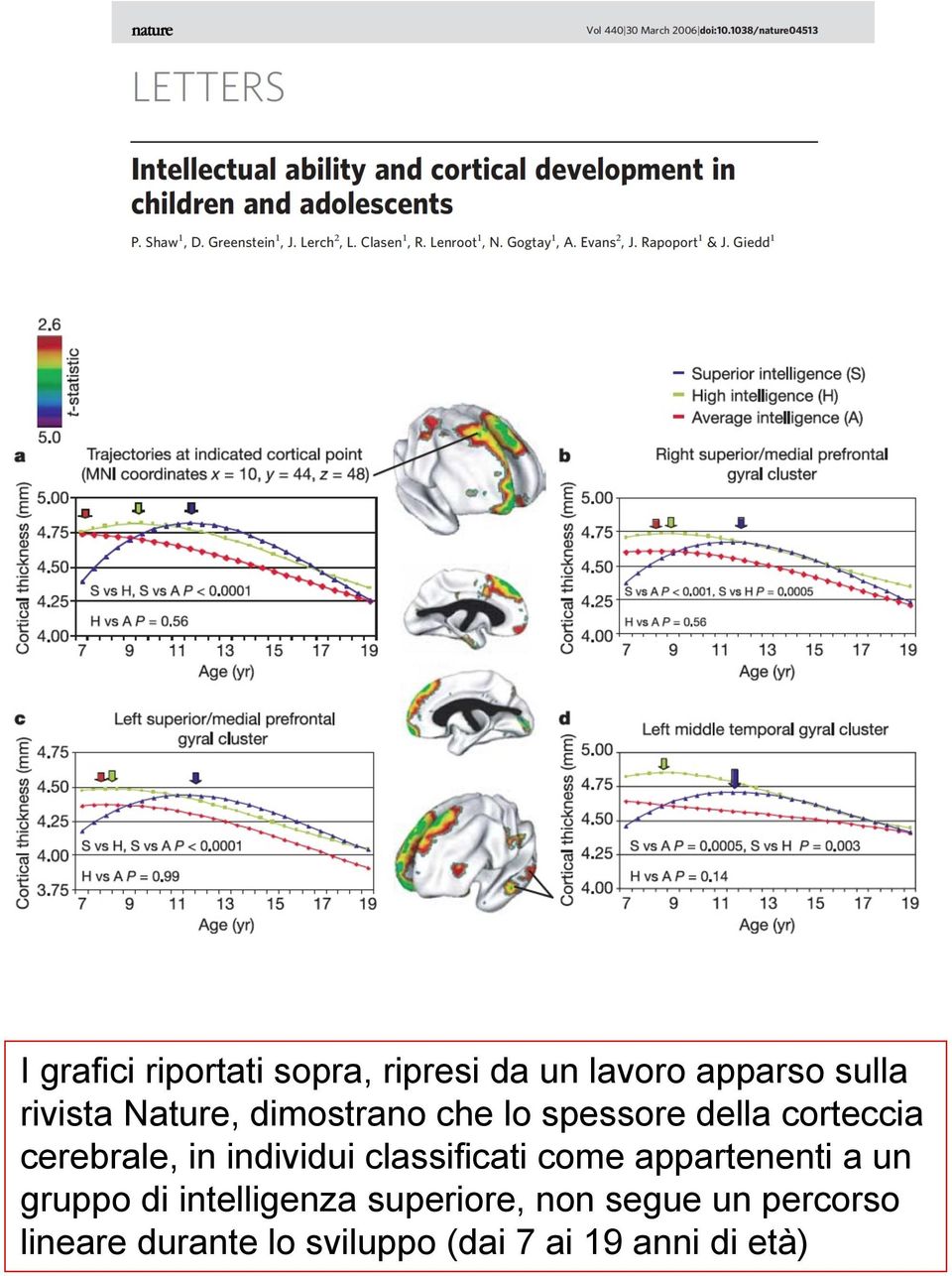 individui classificati come appartenenti a un gruppo di intelligenza