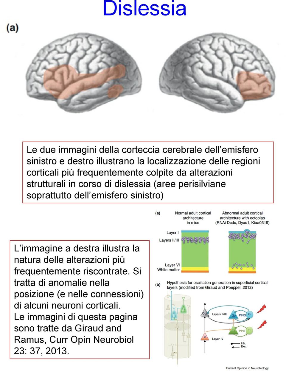 sinistro) L immagine a destra illustra la natura delle alterazioni più frequentemente riscontrate.