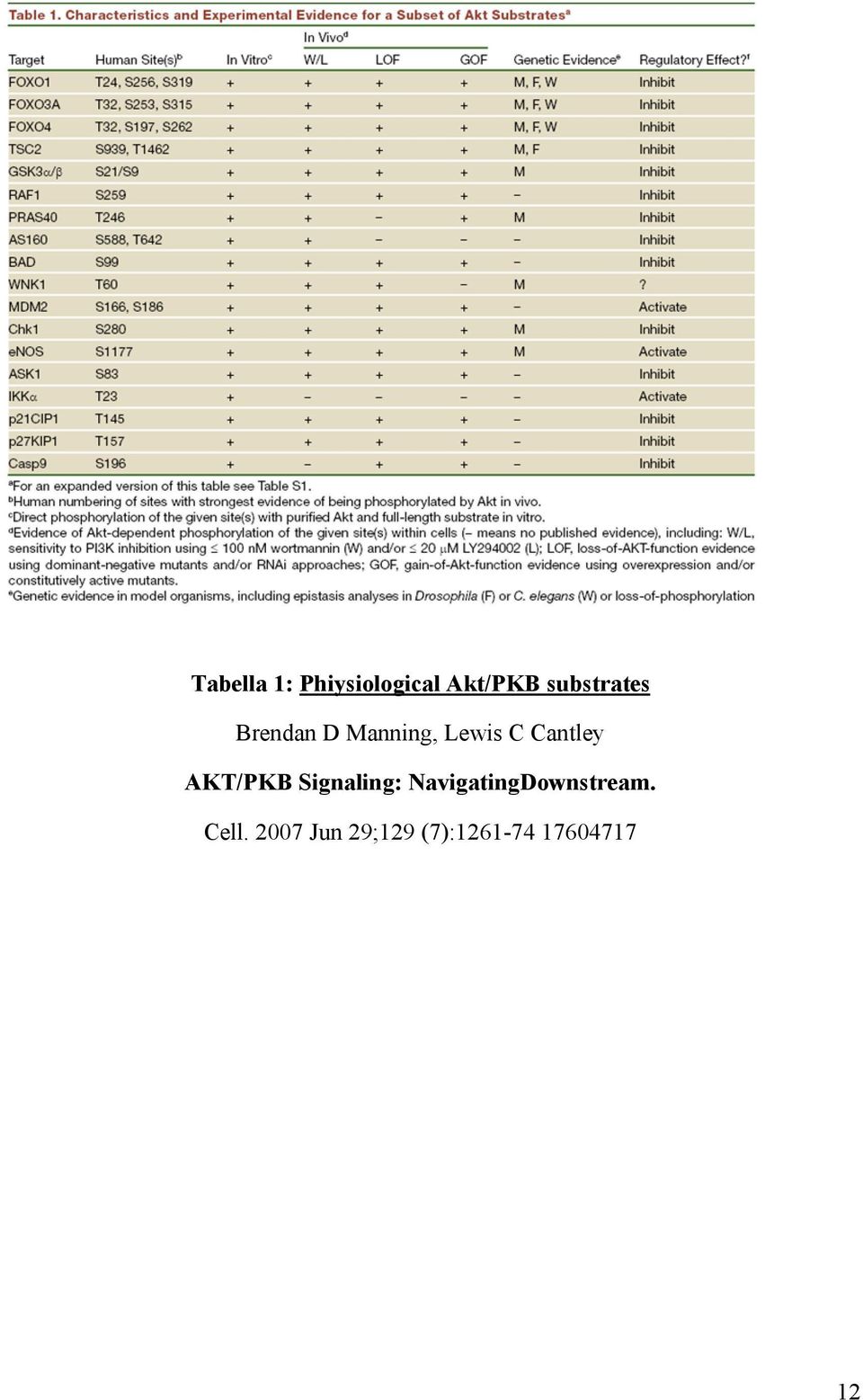 Cantley AKT/PKB Signaling: