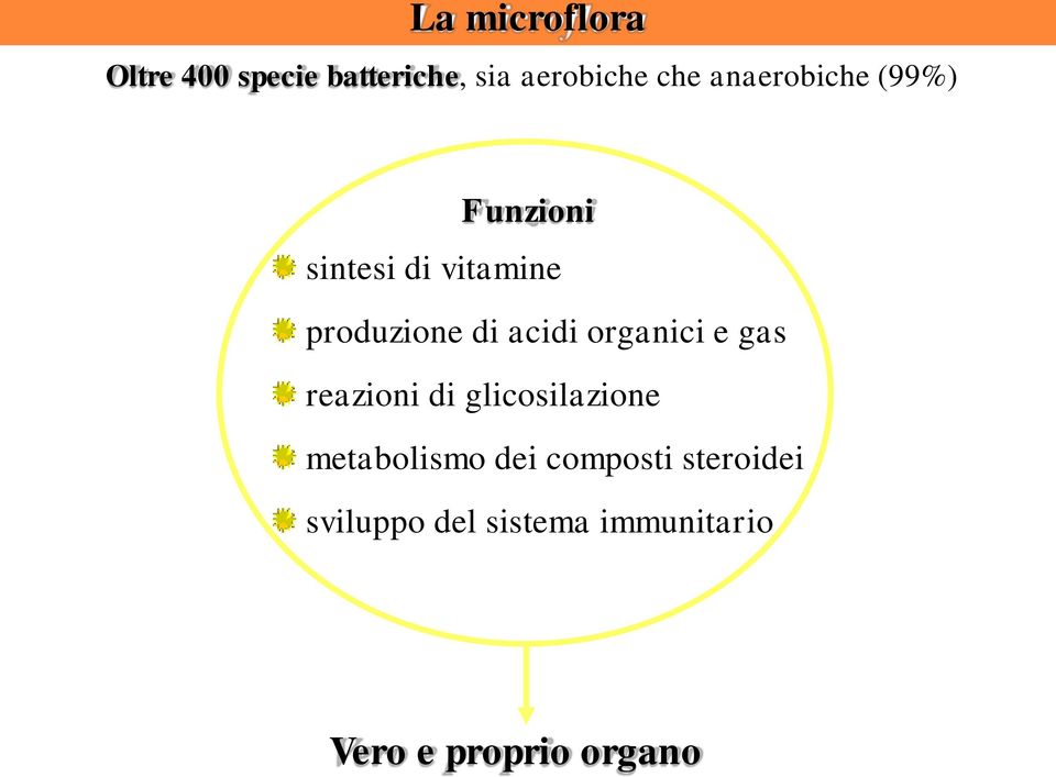 produzione di acidi organici e gas reazioni di glicosilazione