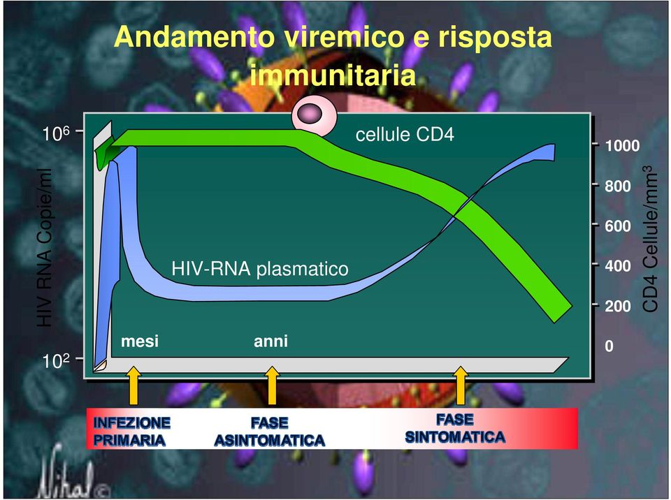 RNA Copie/ml HIV-RNA plasmatico 800