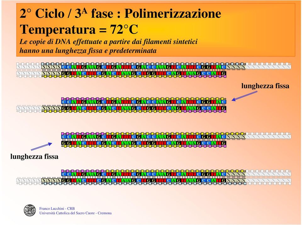 lunghezza fissa e predeterminata lunghezza fissa lunghezza