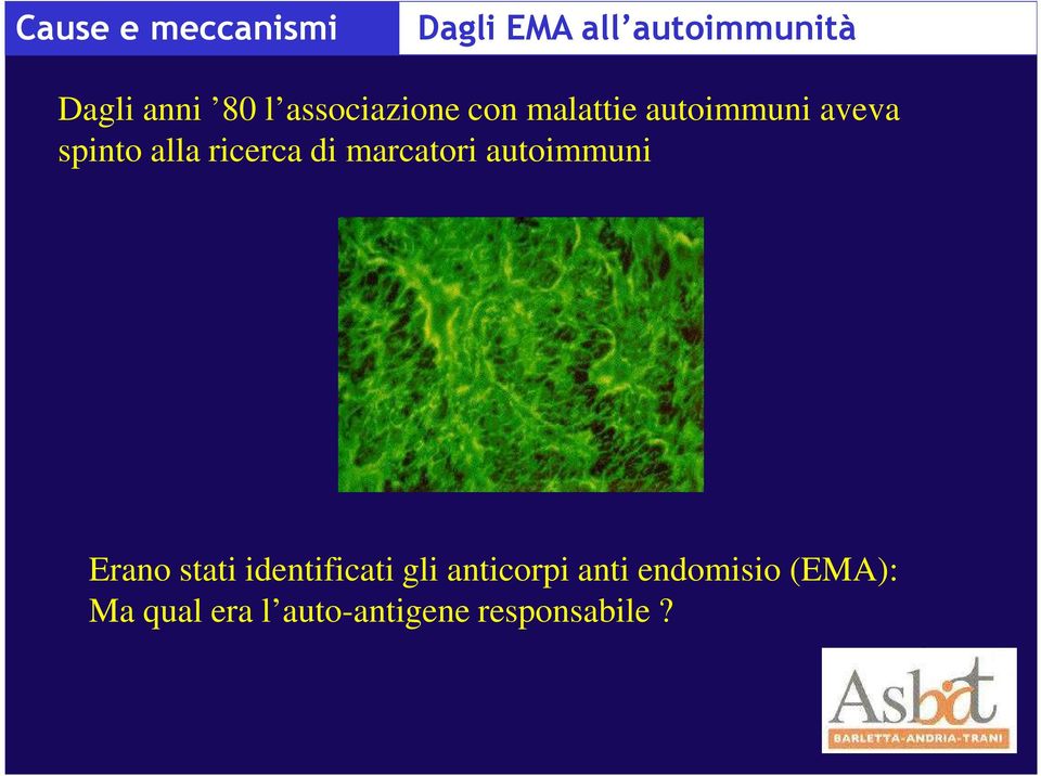 di marcatori autoimmuni Erano stati identificati gli anticorpi