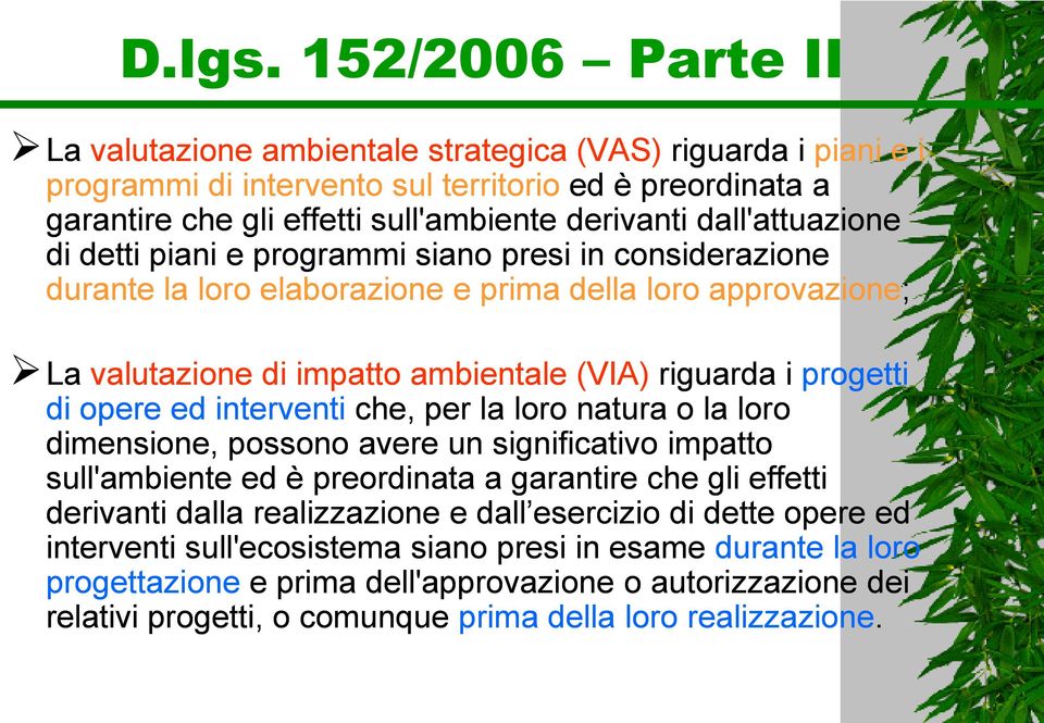 dall'attuazione di detti piani e programmi siano presi in considerazione durante la loro elaborazione e prima della loro approvazione; La valutazione di impatto ambientale (VIA) riguarda i progetti