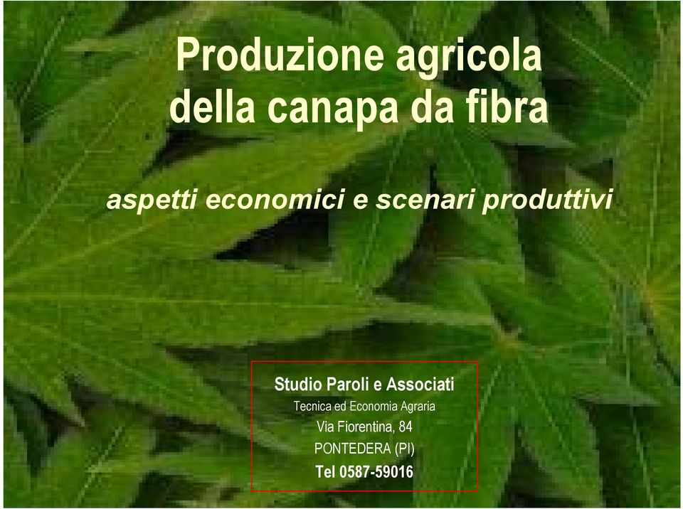 Paroli e Associati Tecnica ed Economia