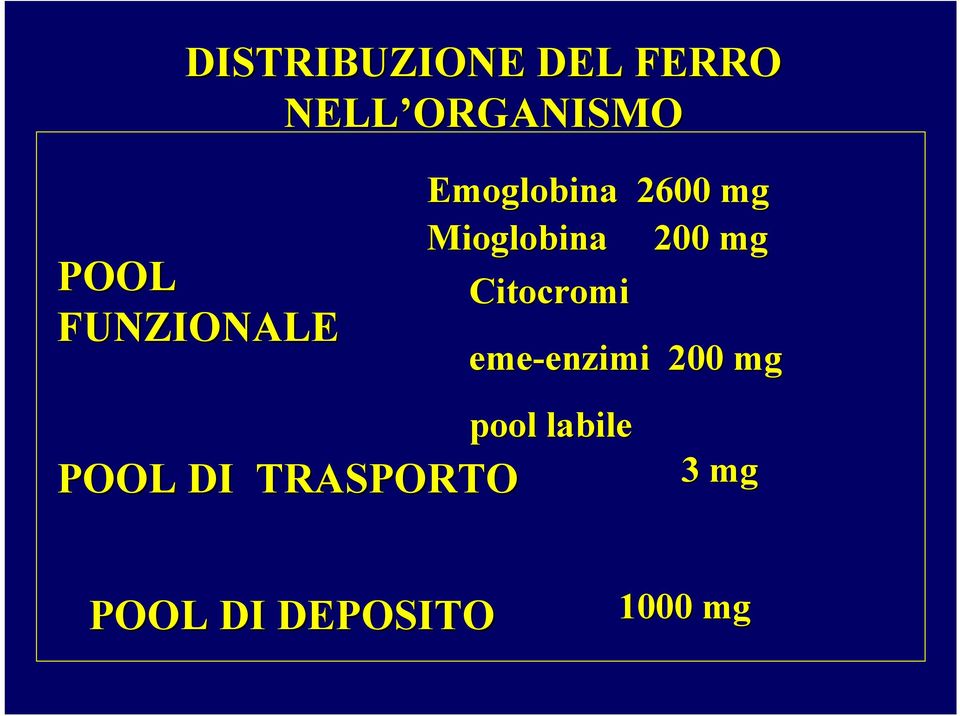 mg Mioglobina 200 mg Citocromi eme-enzimi