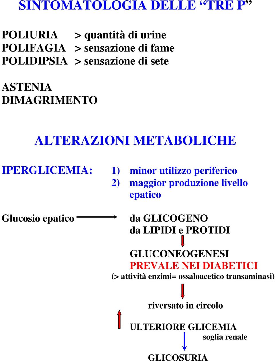 periferico 2) maggior produzione livello epatico da GLICOGENO da LIPIDI e PROTIDI GLUCONEOGENESI PREVALE NEI