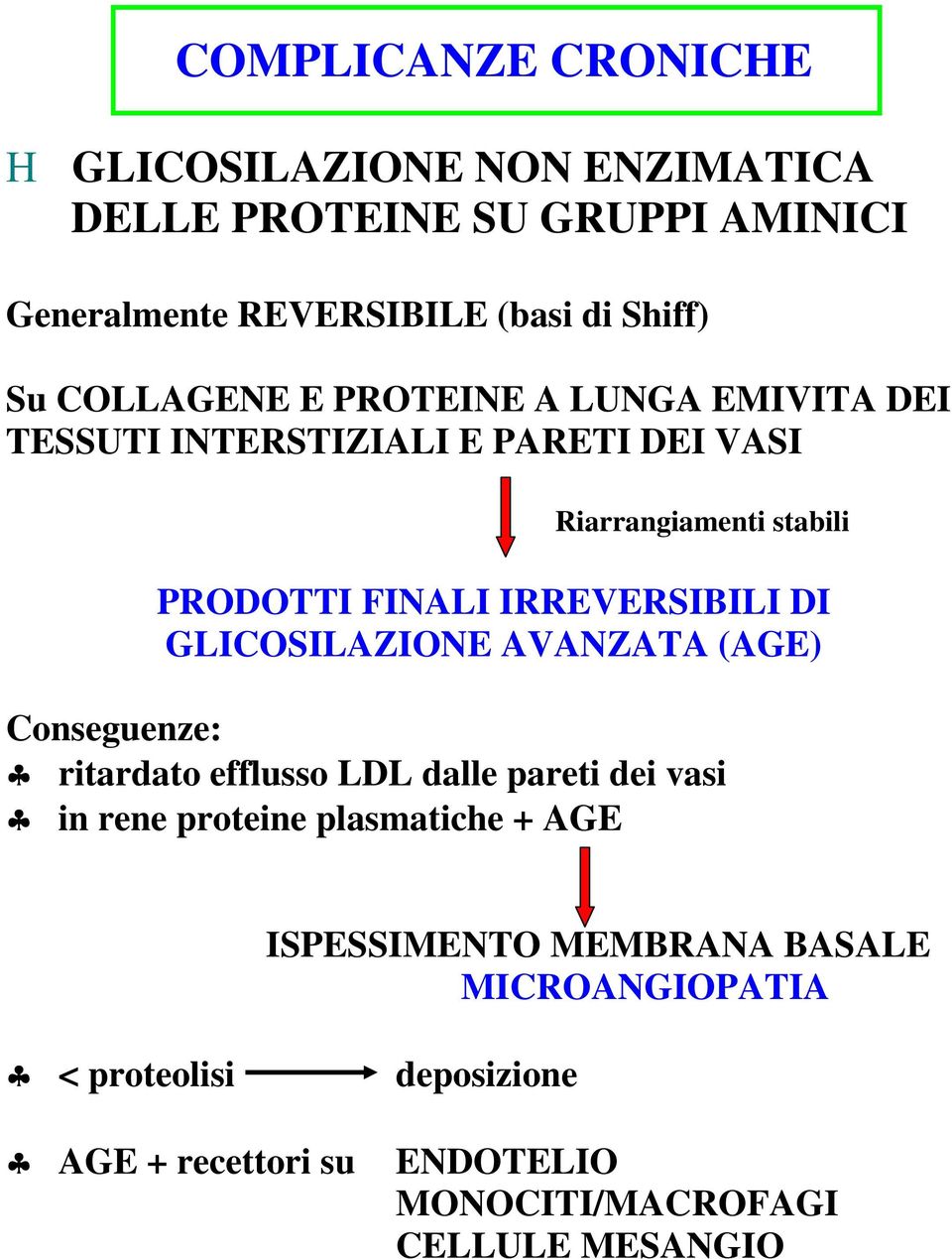 IRREVERSIBILI DI GLICOSILAZIONE AVANZATA (AGE) Conseguenze: ritardato efflusso LDL dalle pareti dei vasi in rene proteine