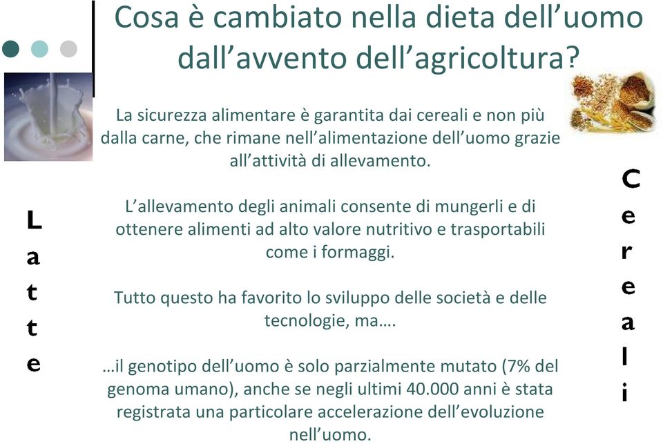 L allevamento degli animali consente di mungerli e di ottenere alimenti ad alto valore nutritivo e trasportabili come i formaggi.