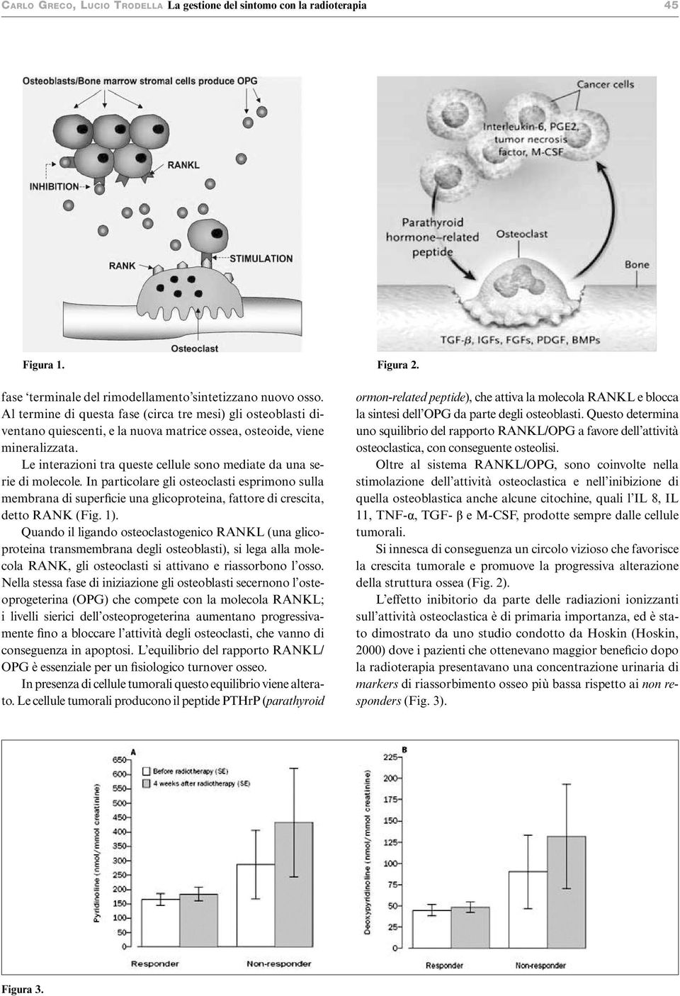 Le interazioni tra queste cellule sono mediate da una serie di molecole. In particolare gli osteoclasti esprimono sulla membrana di superficie una glicoproteina, fattore di crescita, detto RANK (Fig.