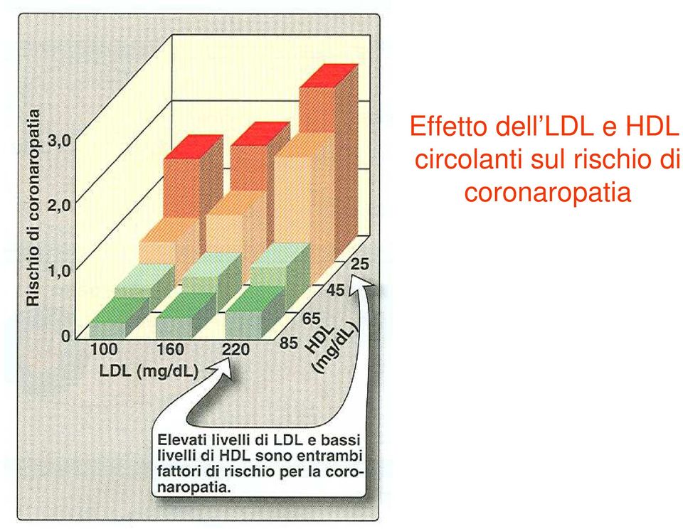 circolanti sul